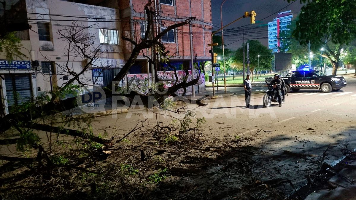 Un árbol se cayó en plena avenida Rivadavia y aplastó un automóvil