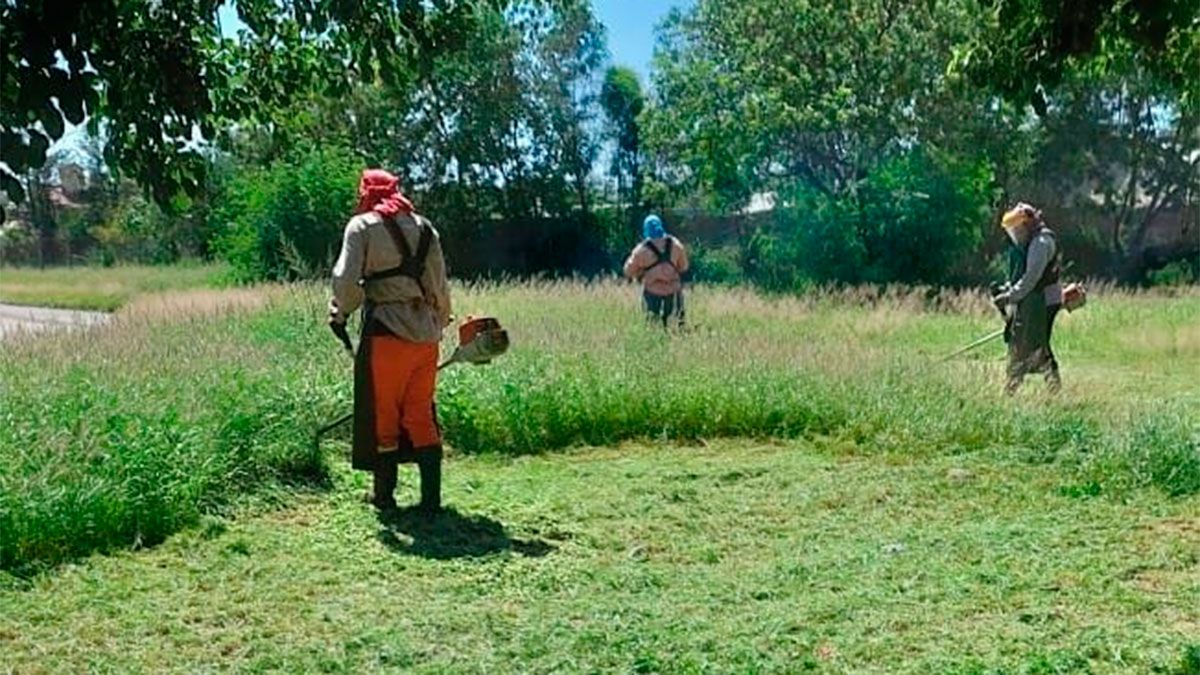 Con Nuevo Equipamiento Se Intensifican Los Trabajos De Desmalezamiento