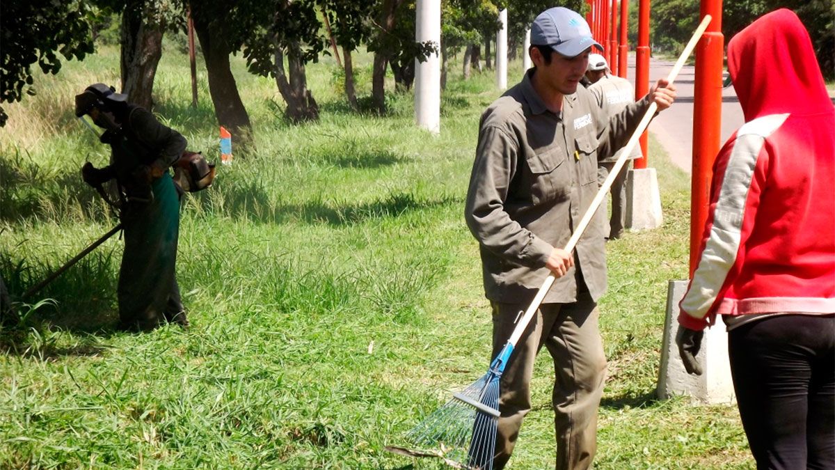 Intensifican Las Tareas De Desmalezado Y Limpieza En La Ciudad De