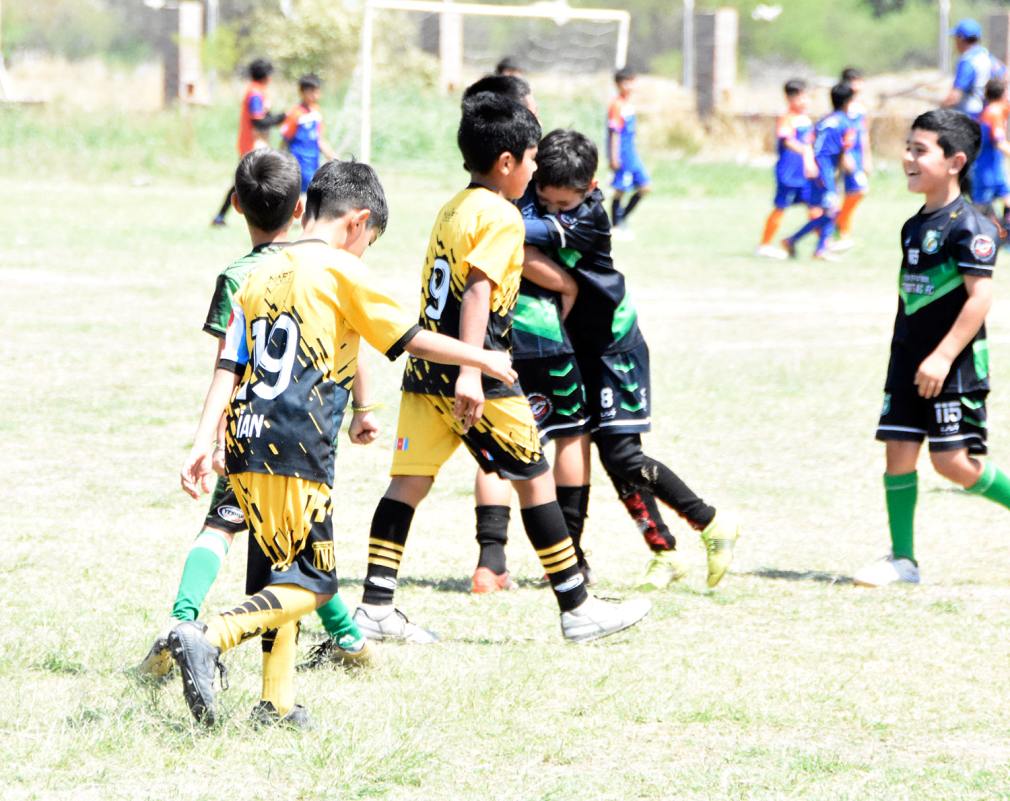 Fútbol Infantil: panorama de clubes y liga