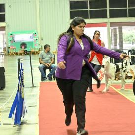 Expo Canina 2025 en el Nodo Tecnológico