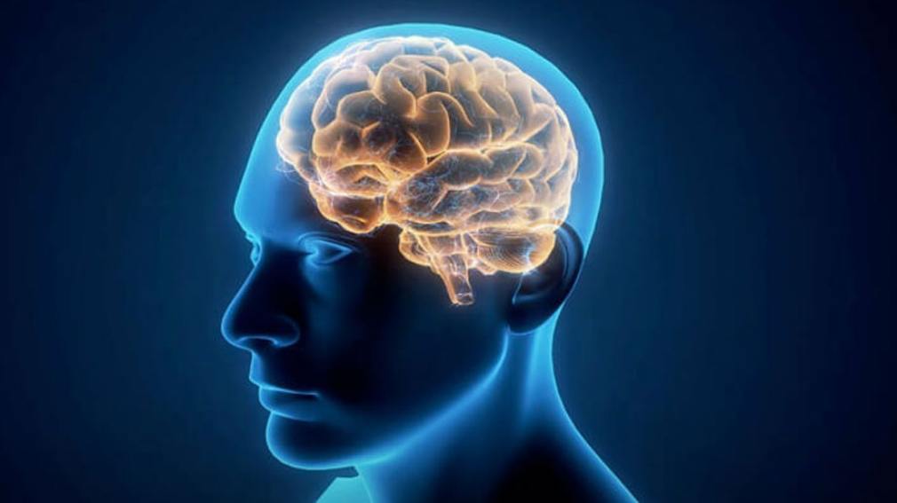 Deterioro cognitivo: Seis claves para mantener el cerebro joven