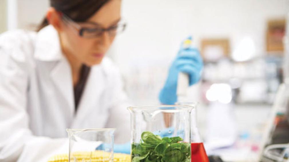 Desarrollan una nueva terapia para el tratamiento de cinco tipos de cáncer