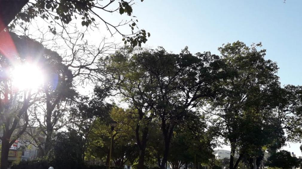 La máxima rondará los 33º en otra jornada más que agradable en Santiago del Estero
