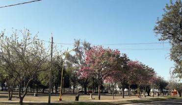El tiempo en Santiago del Estero para este jueves 1 de mayo: anticipan una jornada agradable y una máxima de 28º