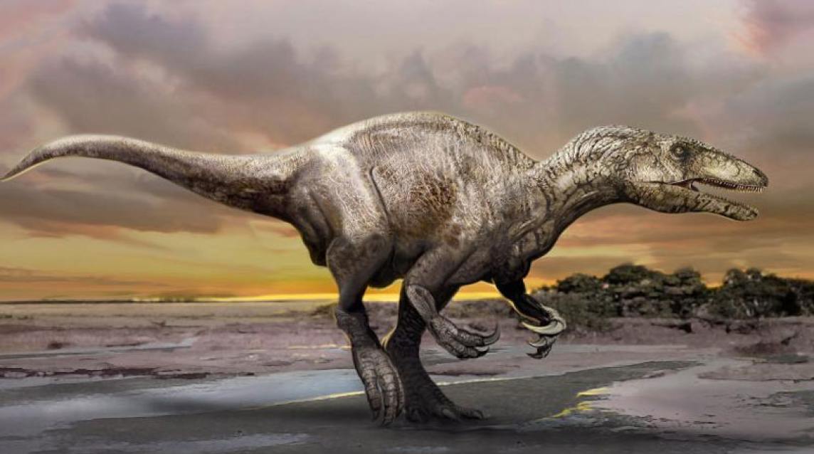 ¿Estaban los dinosaurios en declive antes de extinguirse?