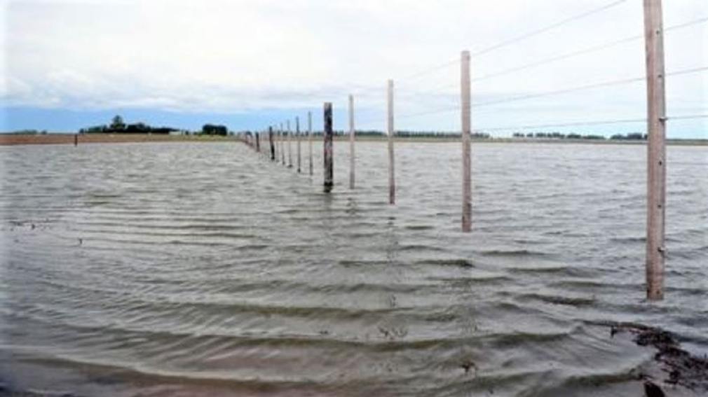 Chaco: el área agrícola de siembra se redujo un 25% por las lluvias