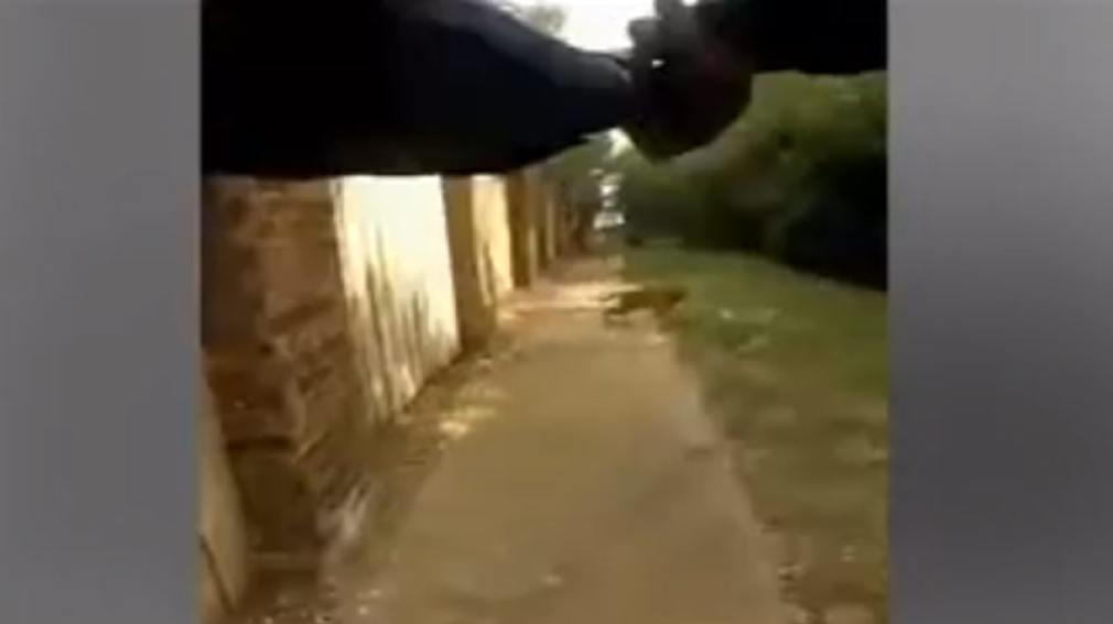 Policía disparó contra un perro que lo atacaba y mató a una mujer