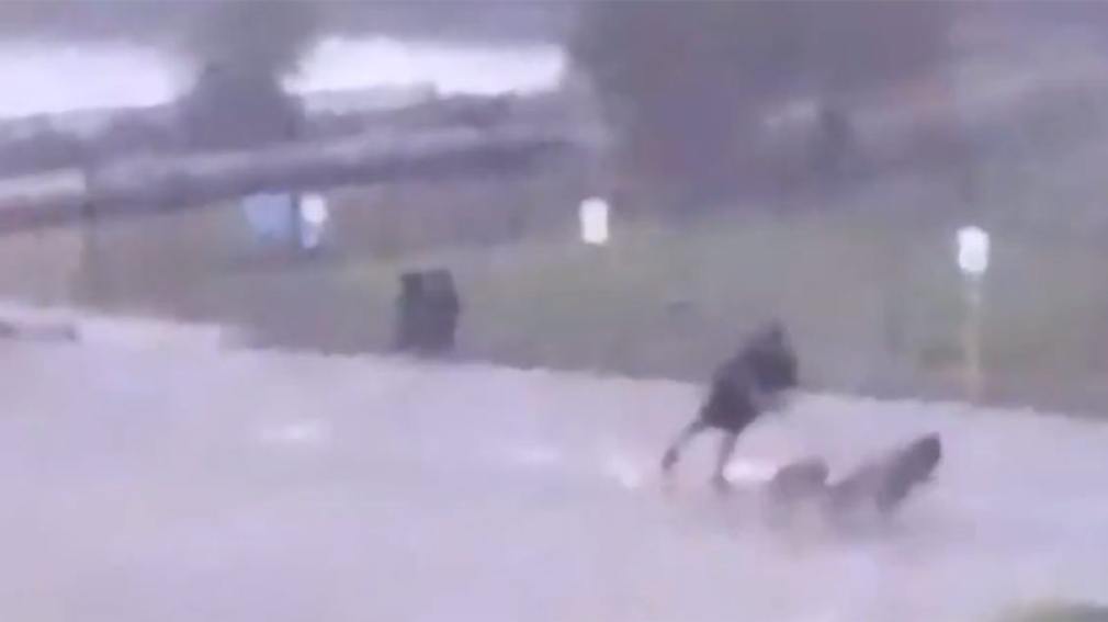 Un hombre es alcanzado por un rayo mientras paseaba a sus perros
