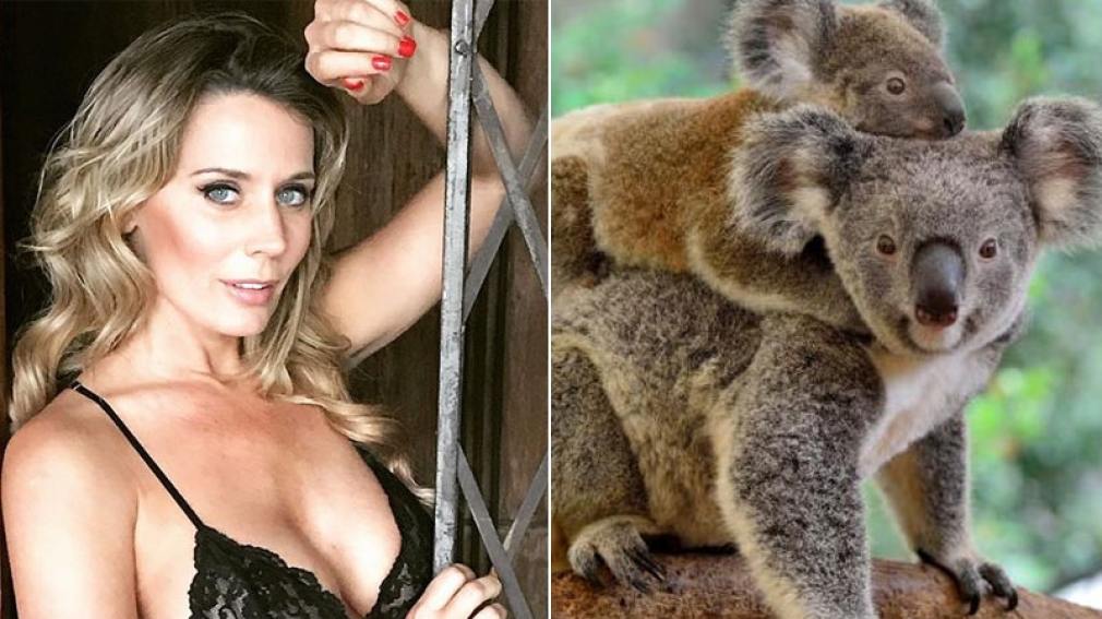 ¿Rocío Marengo fue acusada de robar un koala de Australia?
