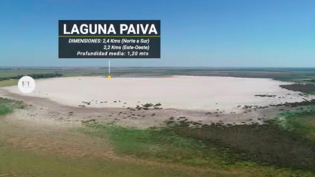 Por la ola de calor y la sequía desapareció una laguna en Santa Fe