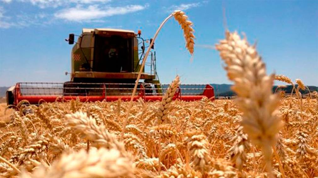 El campo espera a ver cual será el impacto de la baja de las retenciones anunciadas por el Gobierno