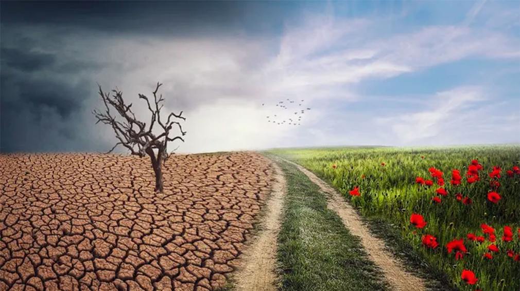 Nuevo acuerdo con el FMI: ¿qué implicancias tiene en materia ambiental y de desarrollo?
