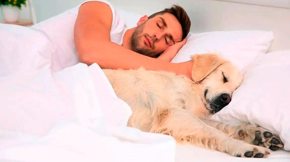 Dormir 4 horas sin cansancio: el secreto está en los genes