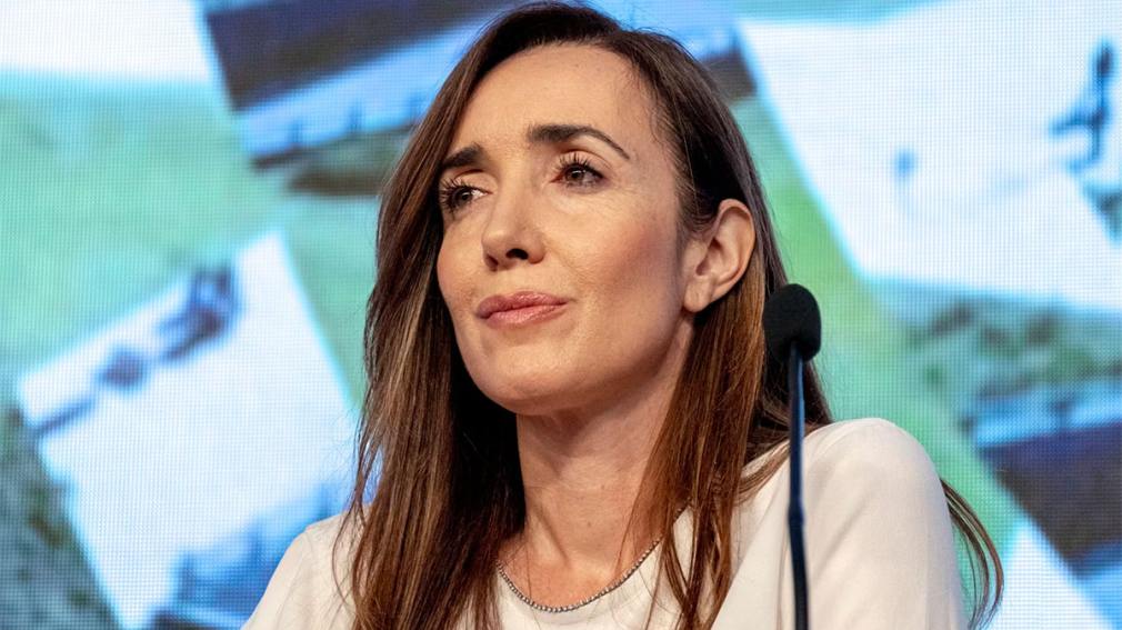 Villarruel desvinculó del Senado a 38 empleados nombrados por Cristina Kirchner y ya son 419 los despedidos
