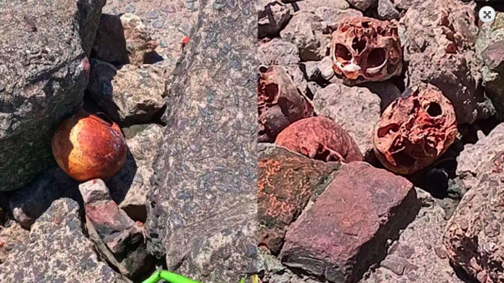 Macabro: encontraron 17 cráneos humanos y denuncian rituales en la ribera de Quilmes