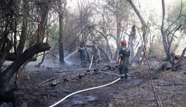 El fuego no da tregua y ya se perdieron más de 3.300 hectáreas en El Bolsón
