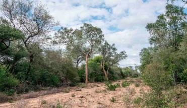 Chaco trabaja fuerte para prevenir incendios forestales