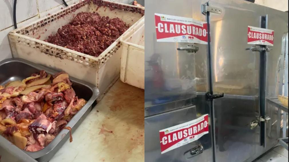 Decomisan más de una tonelada de carne en mal estado en una conocida carnicería de la Capital
