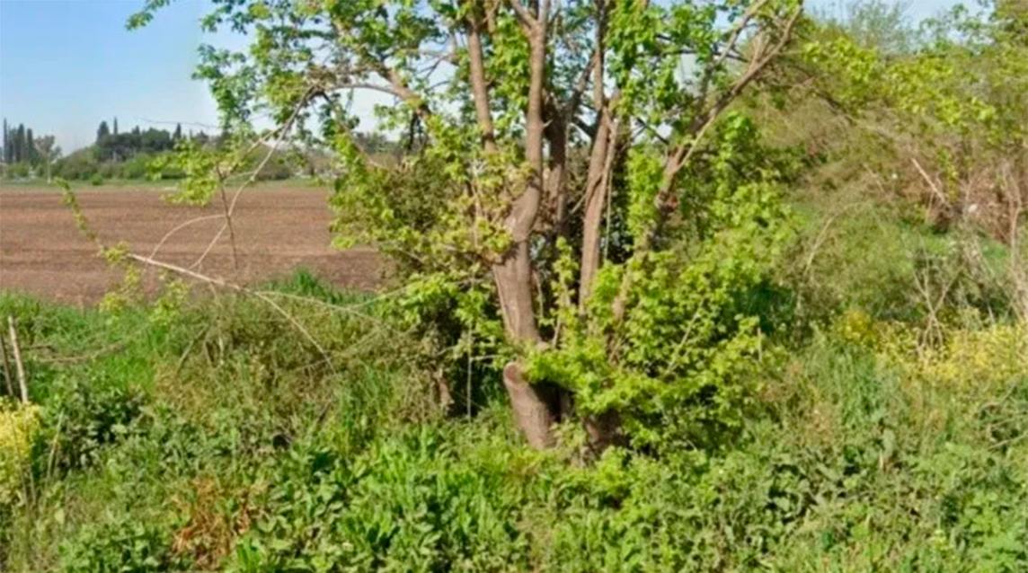 Horror en un descampado: hallan a un hombre acribillado y buscan a los asesinos