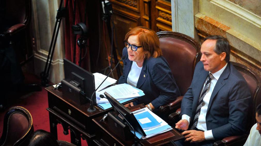 El Senado sancionó la ley que suspende las PASO para este año