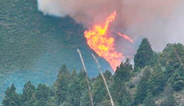 Alarma en Bariloche por un incendio en el Parque Nacional Nahuel Huapi