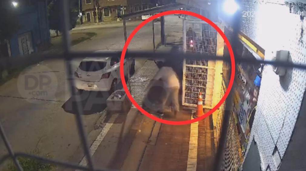 Robo, persecución y captura: atraparon a un delincuente que sustrajo una moto en pleno Centro