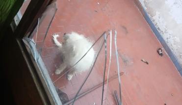 Barrio Sáenz Peña: delincuentes entraron a una casa mientras la familia dormía