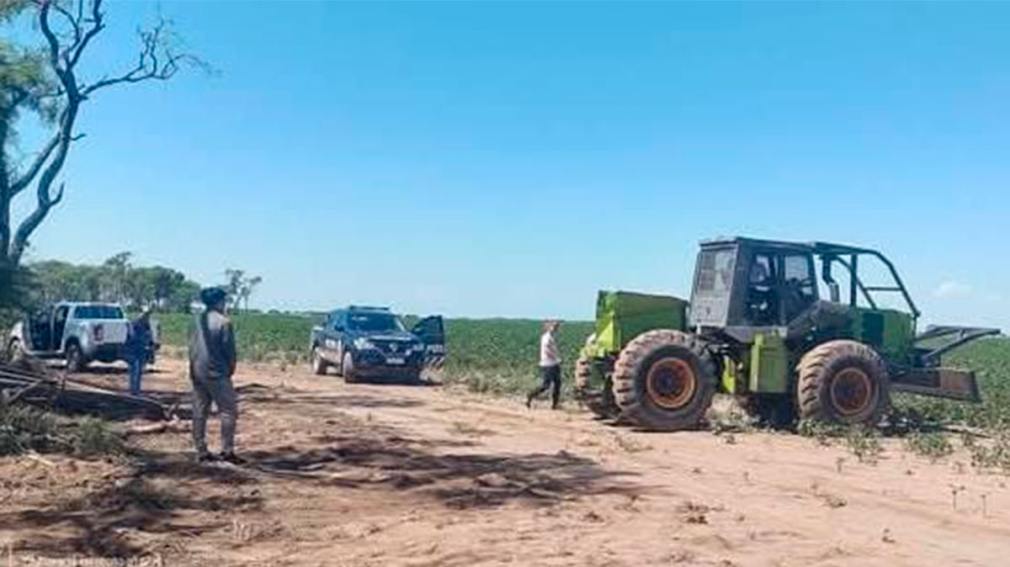 Inspectores de bosques frenaron actividades forestales ilegales en la región