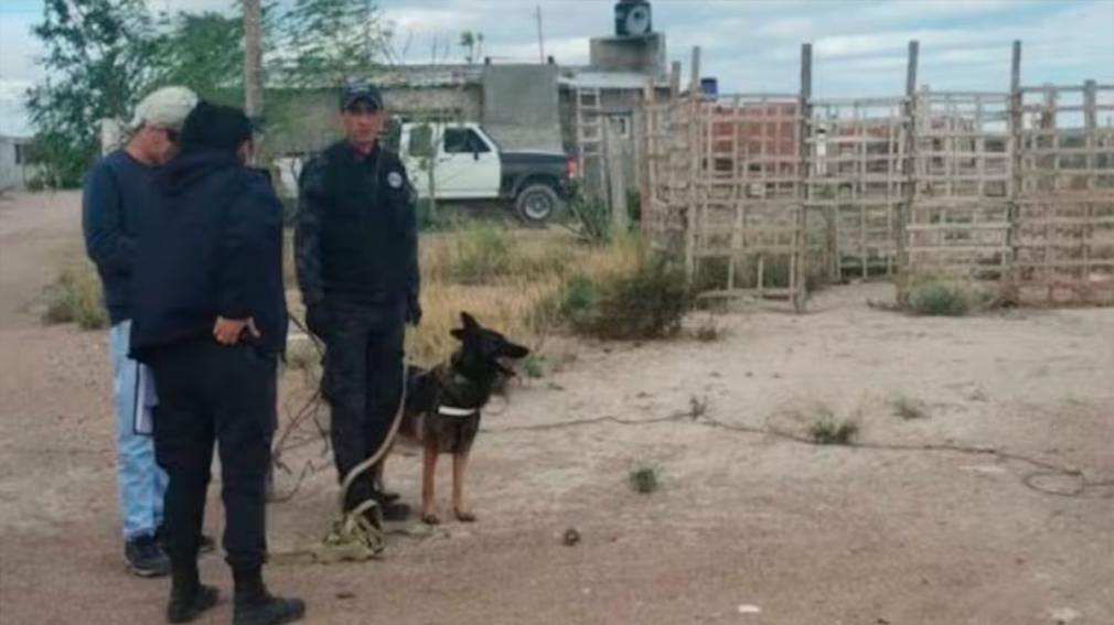 Brutal femicidio: asesinaron a una mujer y la quemaron en un basural