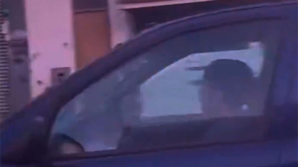 Insólito: grabaron a un niño manejando un auto por calles de Mar del Plata