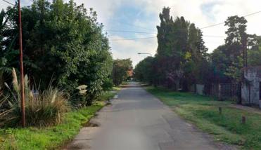 Intentaron asaltarla en la puerta de su casa, pero sus perros la defendieron