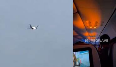 Un avión sufrió el incendio de uno de sus motores al succionar un conejo durante el despegue