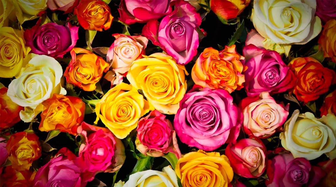 Una especialista revela qué color puede hacerte más feliz