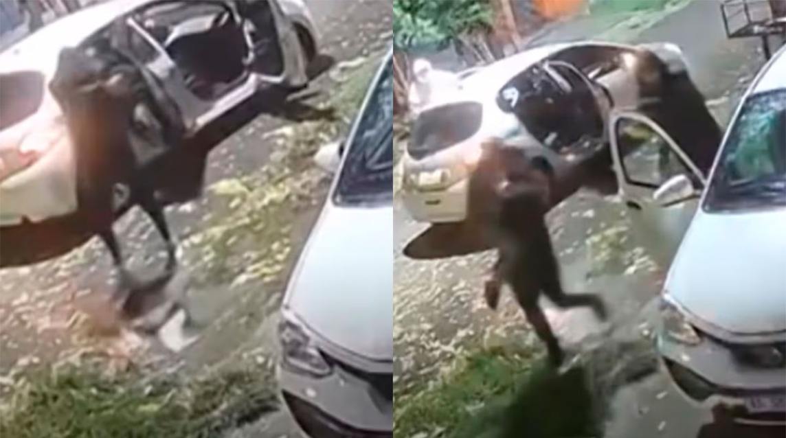 Mi hija está adentro”: angustia en Lomas de Zamora por el robo de un auto con una nena a bordo