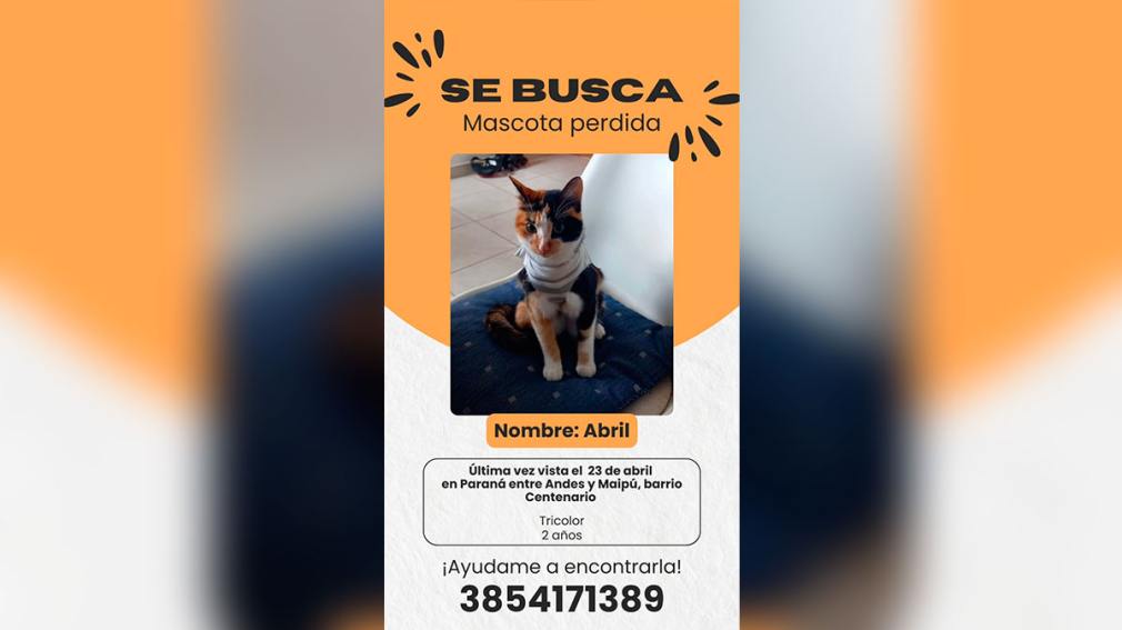 Abril se perdió en el barrio Centenario y su familia pide ayuda para encontrarla 