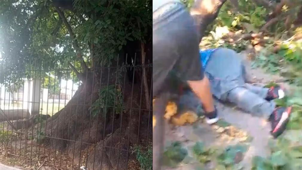 Tragedia en San Martín: murió aplastado por un árbol que había denunciado meses atrás