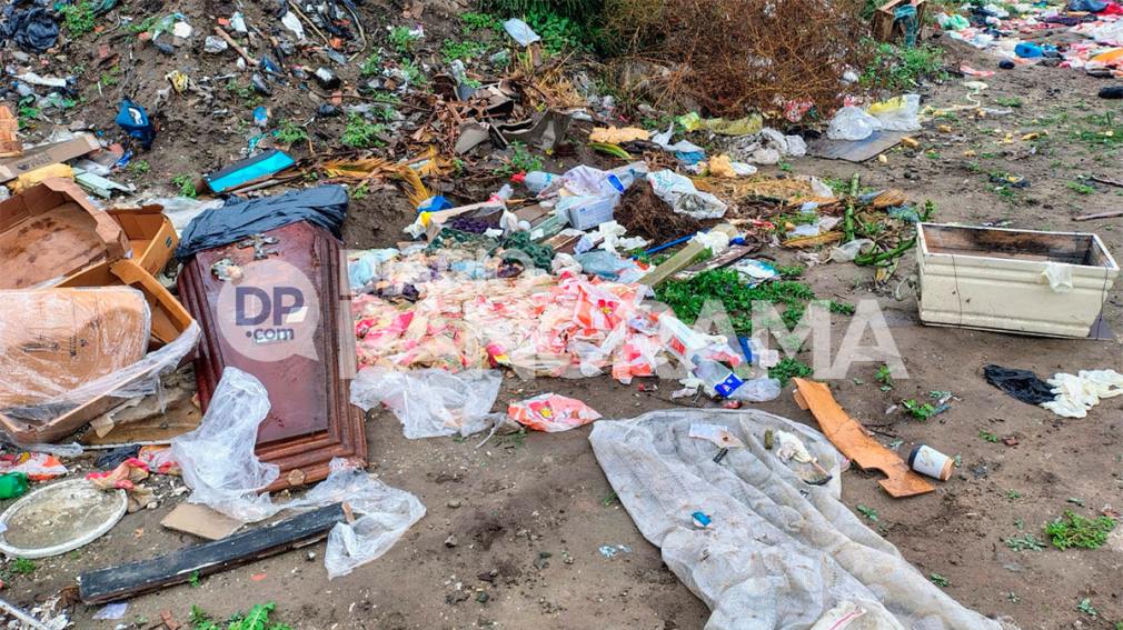 Macabro hallazgo: entre restos de basura había una tapa de un féretro y una urna