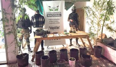Gendarmería Nacional allanó una vivienda por venta de marihuana y detuvo a un hombre