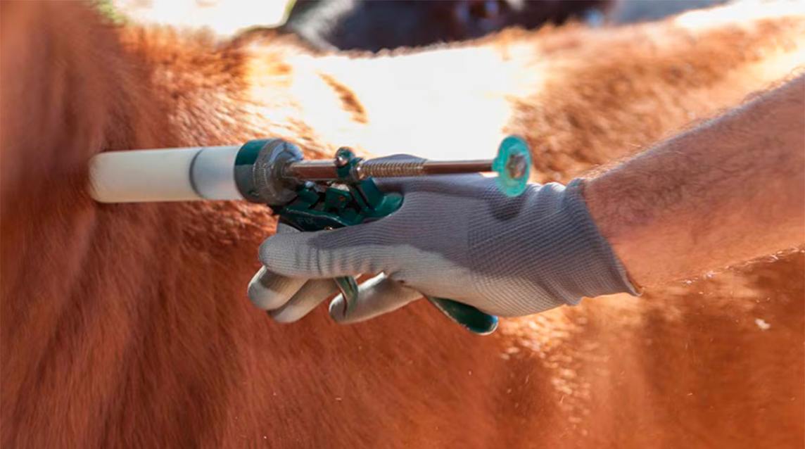 El Gobierno facilita la importación de insumos veterinarios y busca reducir costos en el campo