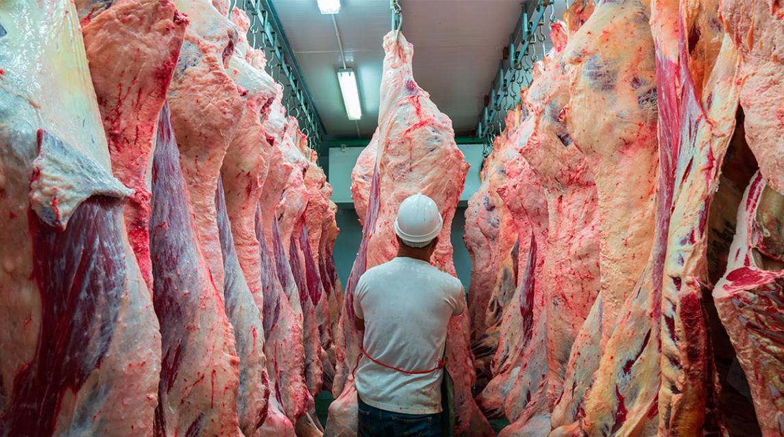 Fuerte repunte de las exportaciones de carne en abril, aunque sin alcanzar niveles del año pasado