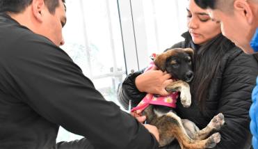 Fernández: con gran adhesión se concretó la primera campaña antirrábica y desparasitación de mascotas