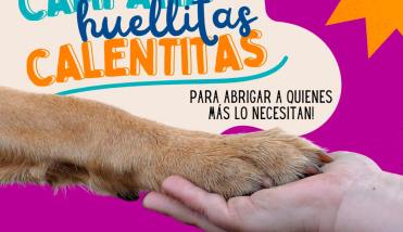 Huellitas Calentitas, la campaña solidaria para proteger a las mascotas del frío