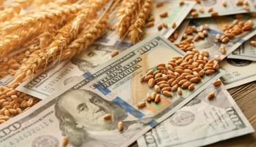 Antes de la suba de retenciones: los agroexportadores liquidaron 3.706 millones de dólares en junio