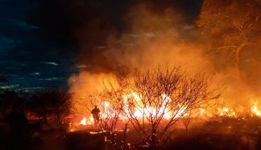 Voraz incendio de pastizales movilizó a Bomberos Voluntarios en la zona sur de la Capital