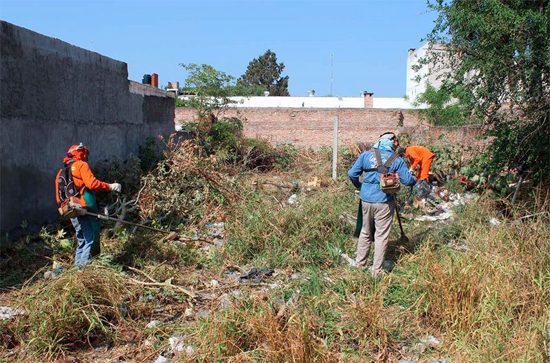 El Municipio Ejecutó Un Nuevo Operativo De Limpieza En Un Terreno Privado Del B° Villa Eloisa 4912