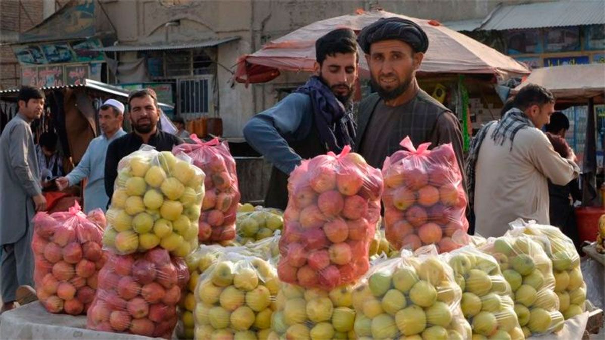 La sharia es un código de vida 