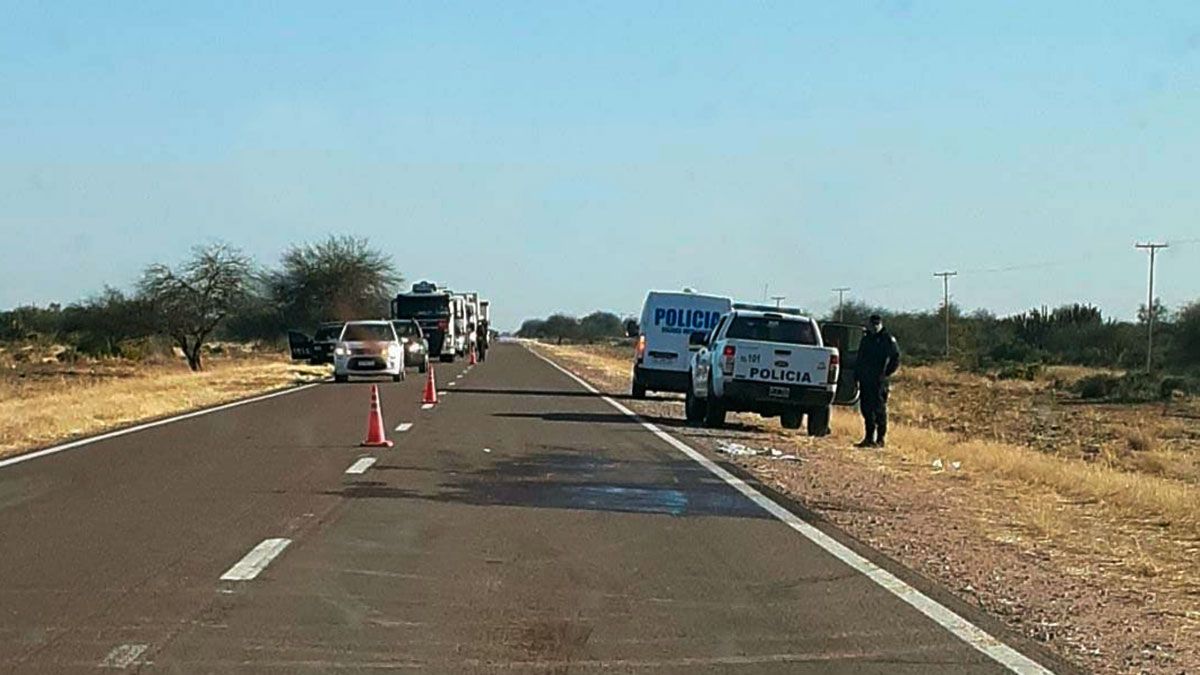 Tragedia En La Ruta 9 Un Joven Fue Embestido Por Un Camión Diario Panorama 4671