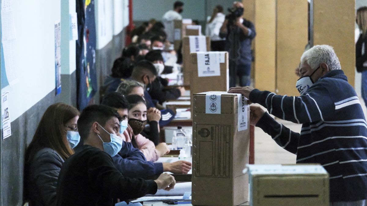 ¿Qué pasa si no voto en las PASO? Diario Panorama