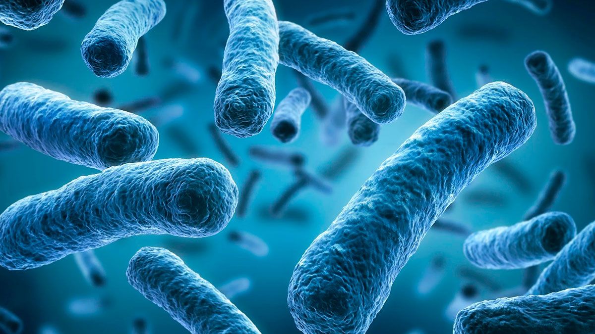 Confirman que la bacteria Legionella es la causante del brote de ...